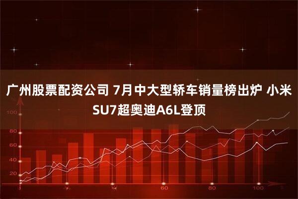 广州股票配资公司 7月中大型轿车销量榜出炉 小米SU7超奥迪A6L登顶